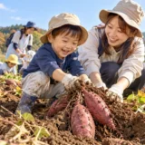 秋の畑で保育園の芋掘りを楽しむ幼児と保護者